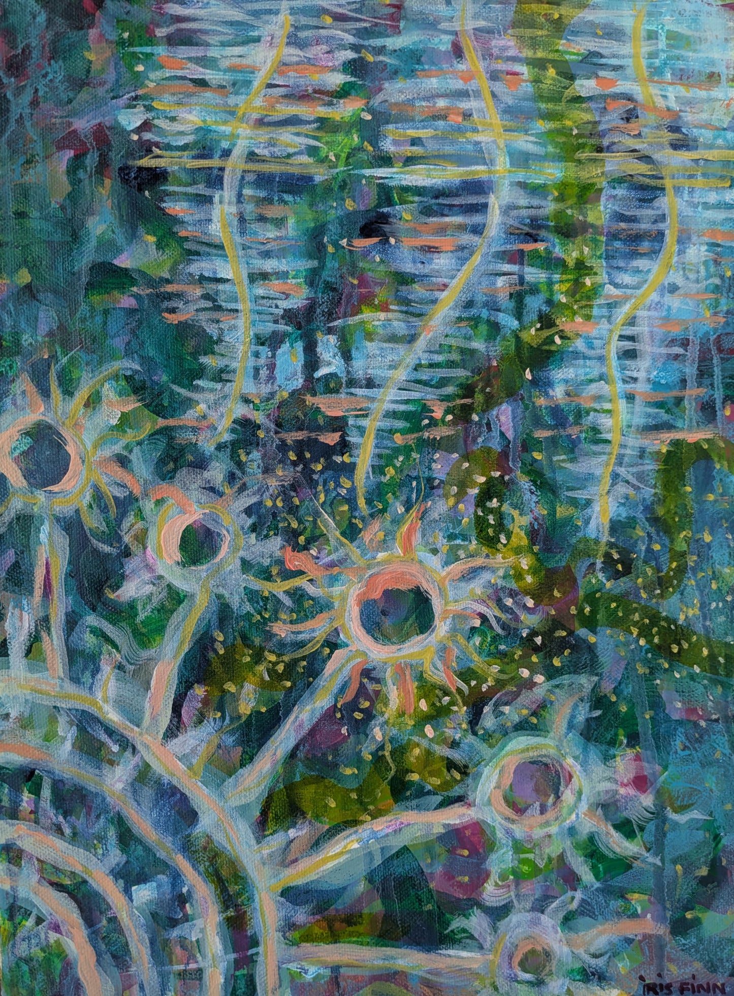 The River of Light